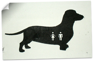 litho dachshund